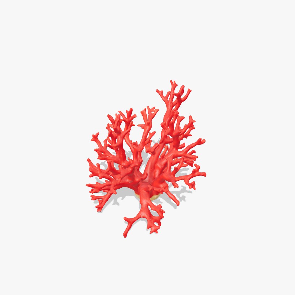 Red Coral Model Pack for Oceanic Environments